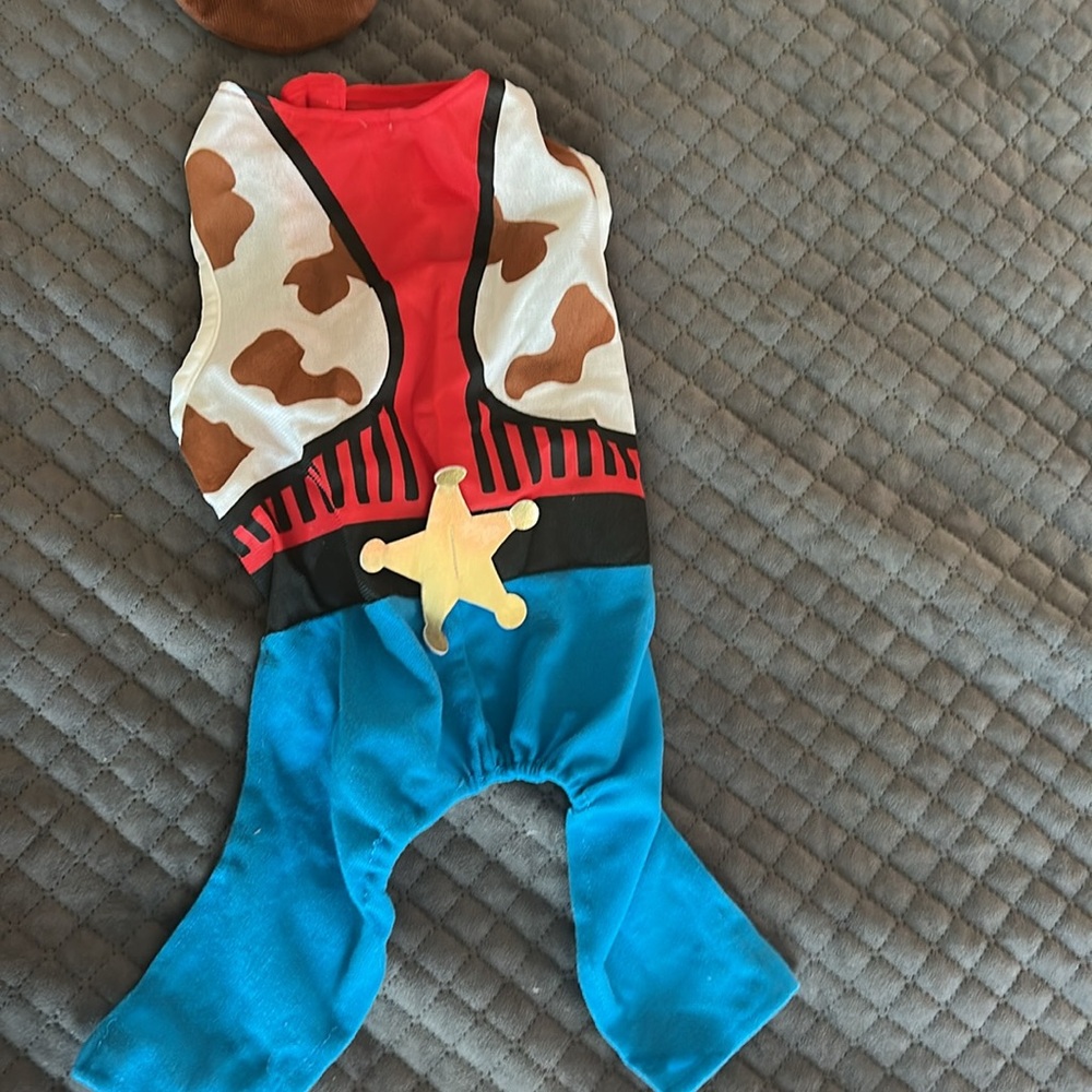 Cowboy Sheriff Dog Halloween Costume - Picture 3 of 5